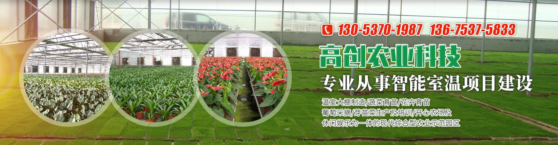 金鄉縣高創農業科技有限公司