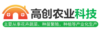 金鄉縣高創農業科技有限公司