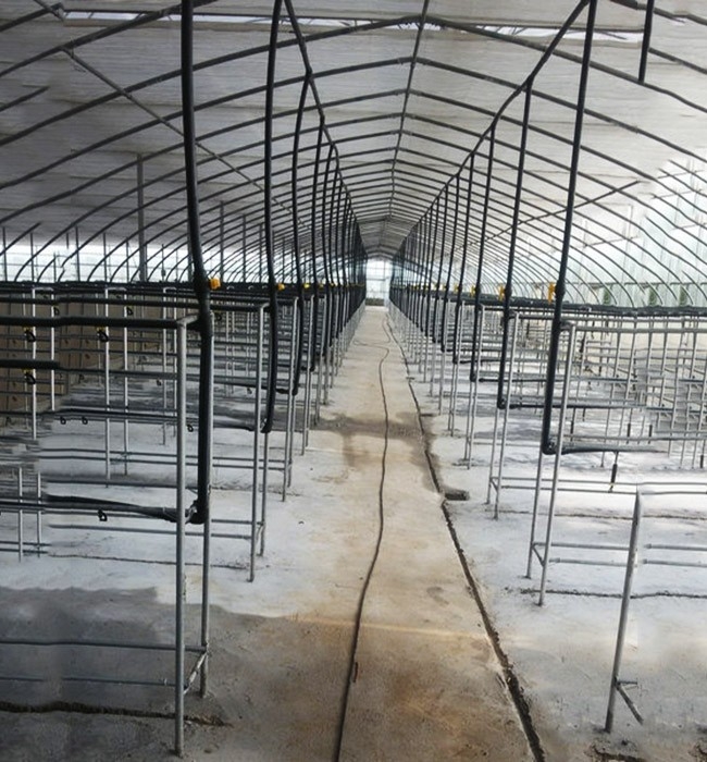 溫室大棚建造在更換棚膜時需要注意的細節